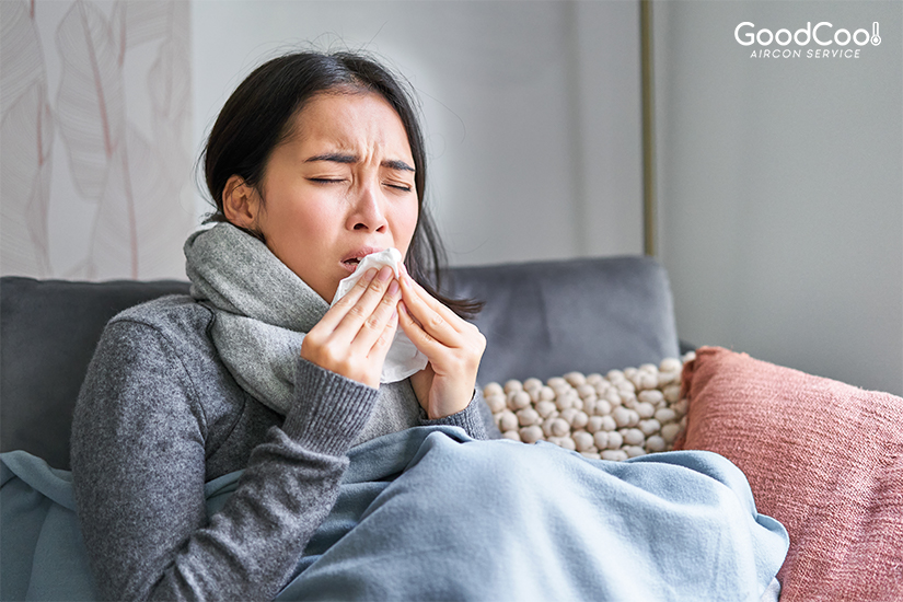 Air Conditioning and Allergies: How to Choose the Right Unit for Sensitive Individuals